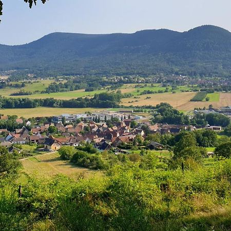 Reverie Du Val Triembach-au-Val 외부 사진